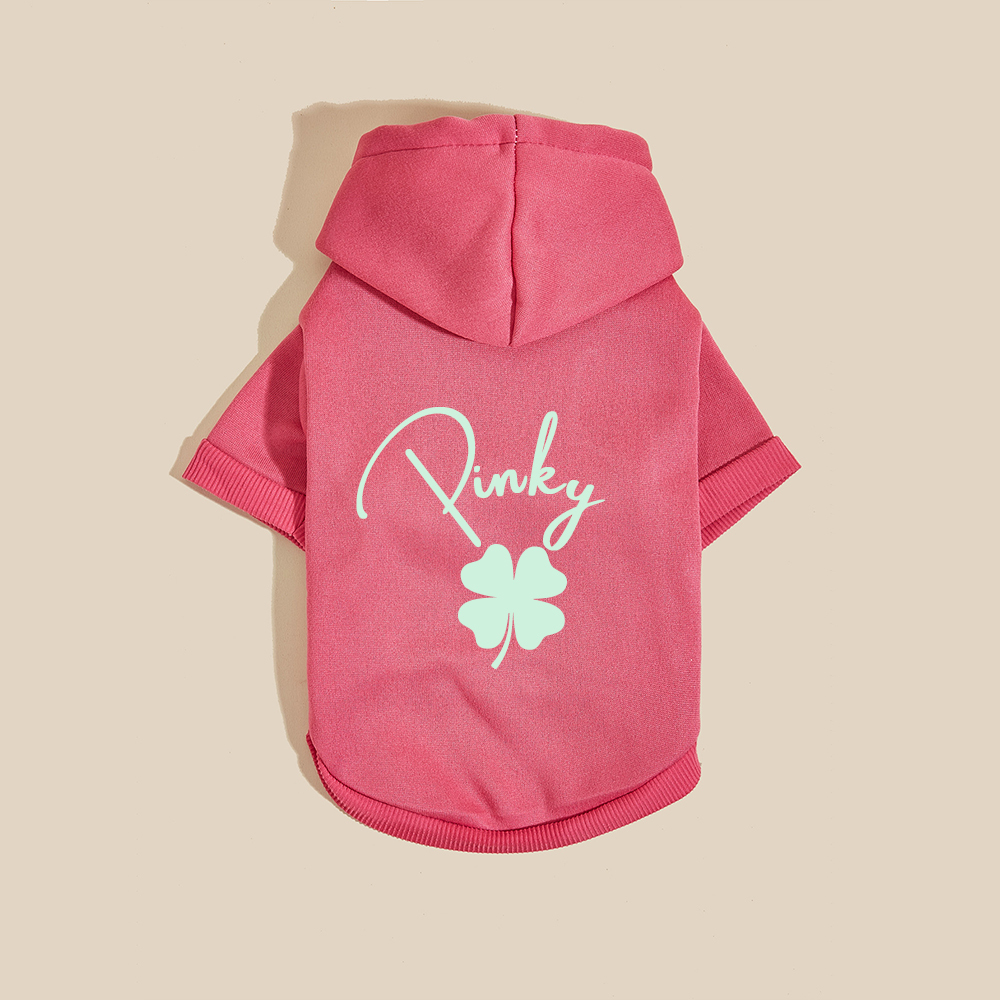 Personalized Name St. Patricks Day Pet Hoodie | inCloth04