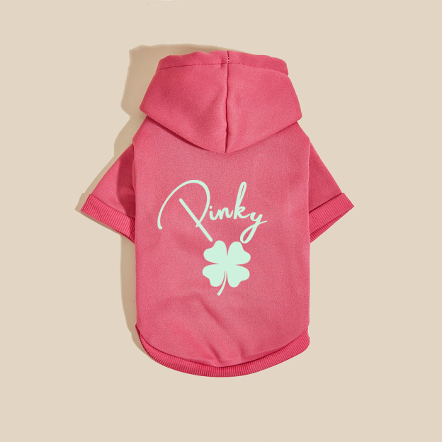 Personalized Name St. Patricks Day Pet Hoodie | inCloth04