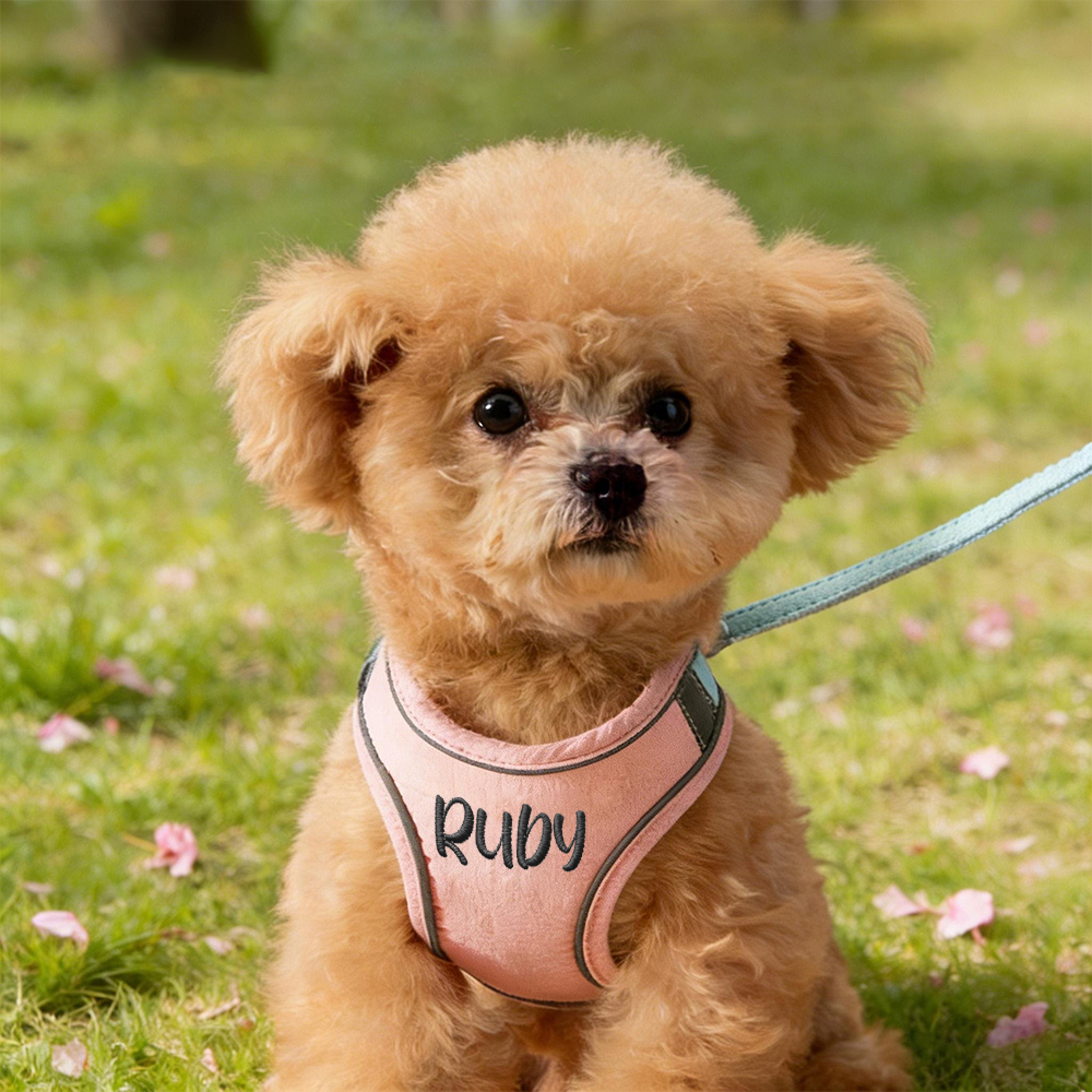 Personalized Embroidered Name Pet Harness with Leash | inAccs09