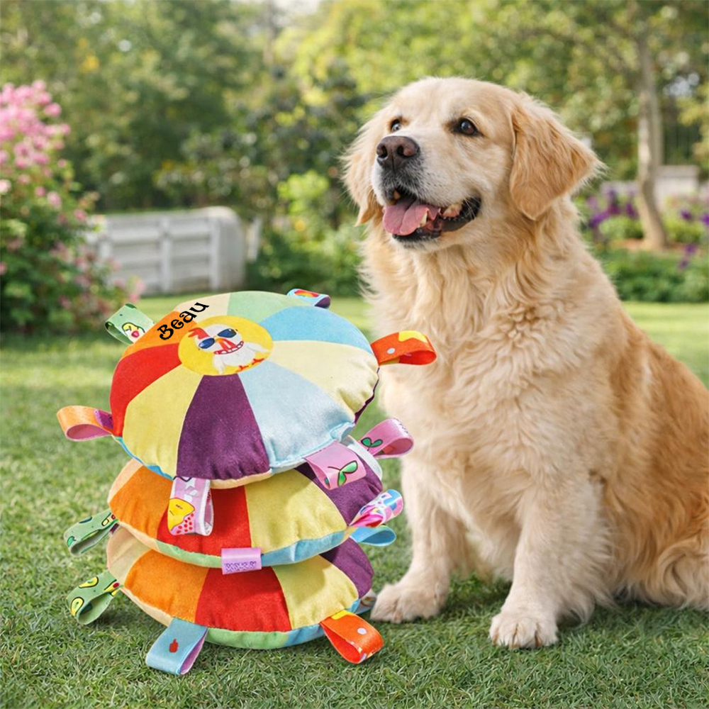 Personalized Pet Colorful Plush Chew Toy | inToy02