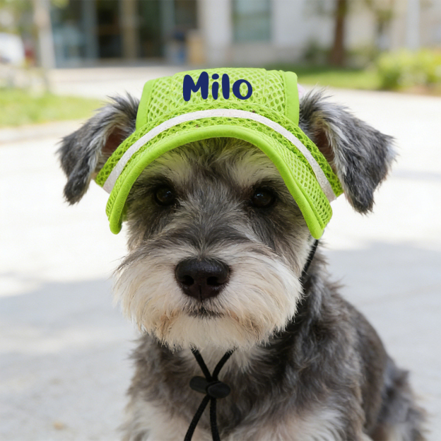 Personalized Name Pet Breathable Mesh Hat | inHat02
