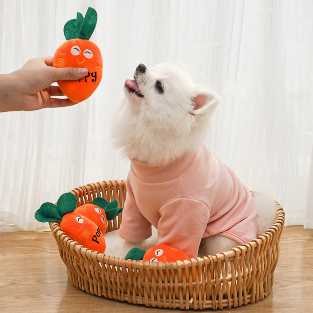 Personalized Pet Squeaky Carrot Plush Toy  | inToy06