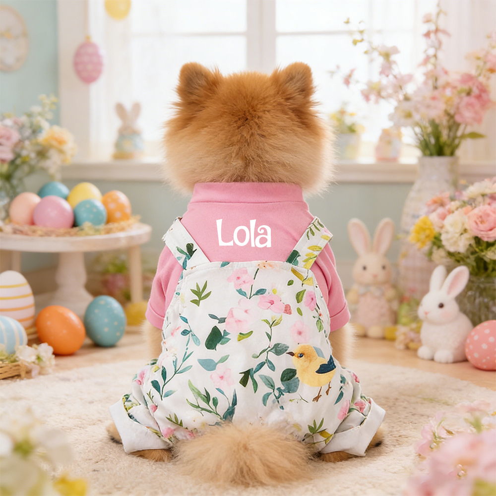Personalized Pet Easter Outfit | inCloth17