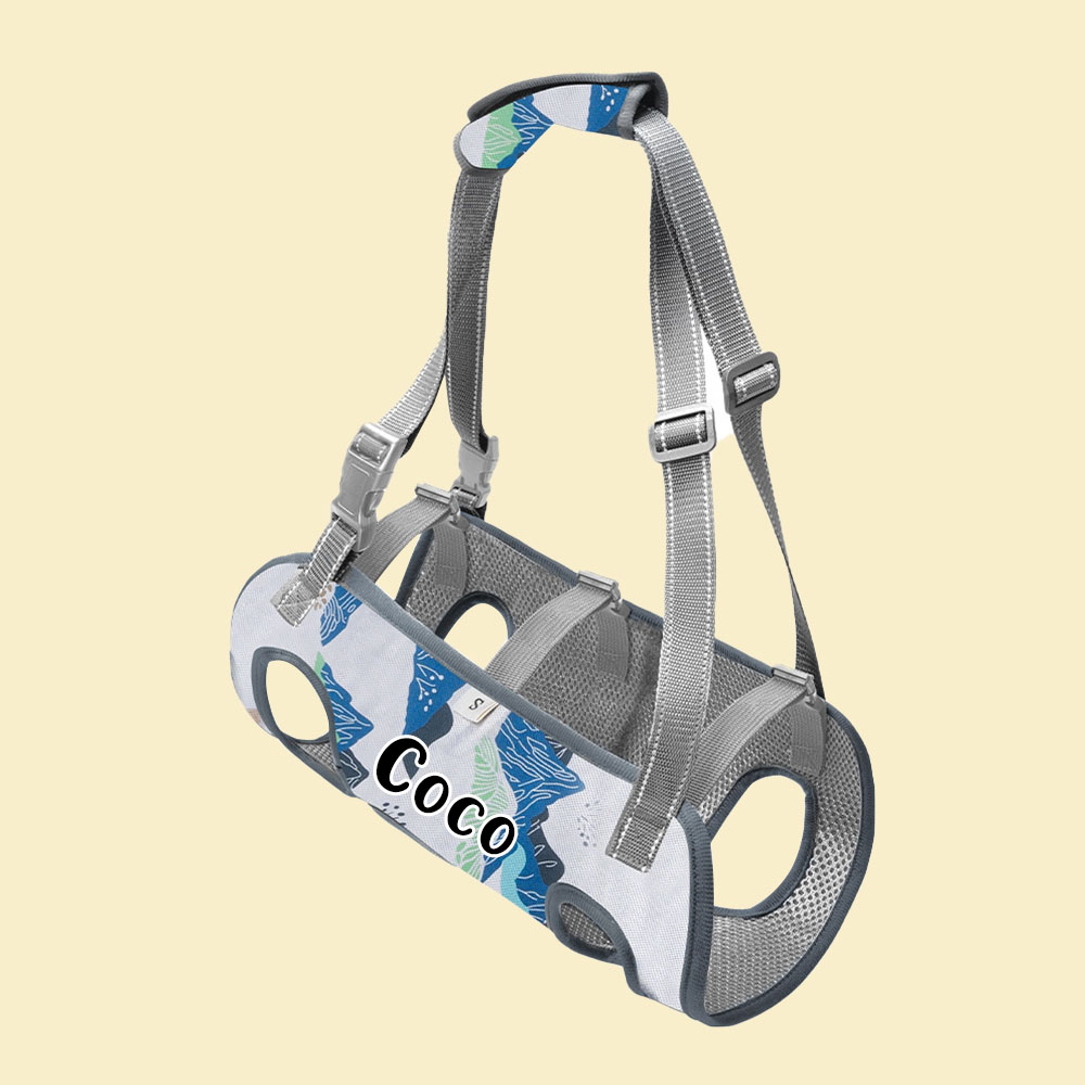Personalized Name Dog Walking Aid Harness | inAccs24