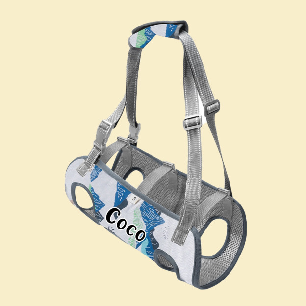 Personalized Name Dog Walking Aid Harness | inAccs24