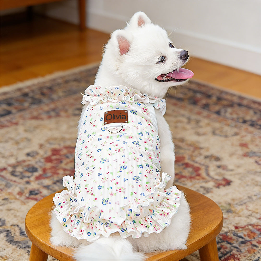 Personalized Leather Patch Name Pet Dress | inCloth32