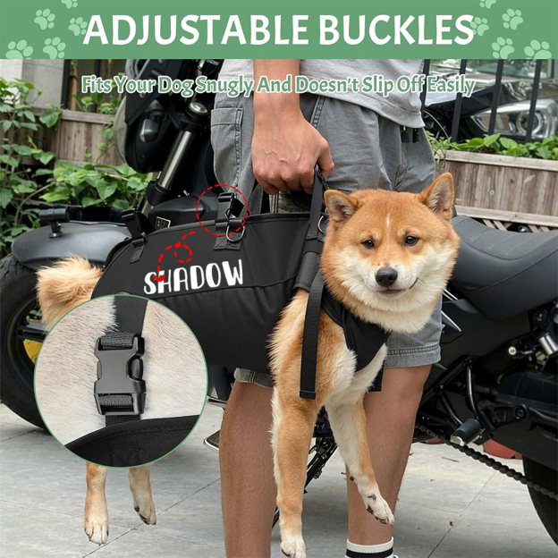 Personalized Name Outdoor Portable Breathable Pet Backpack | inAccs27