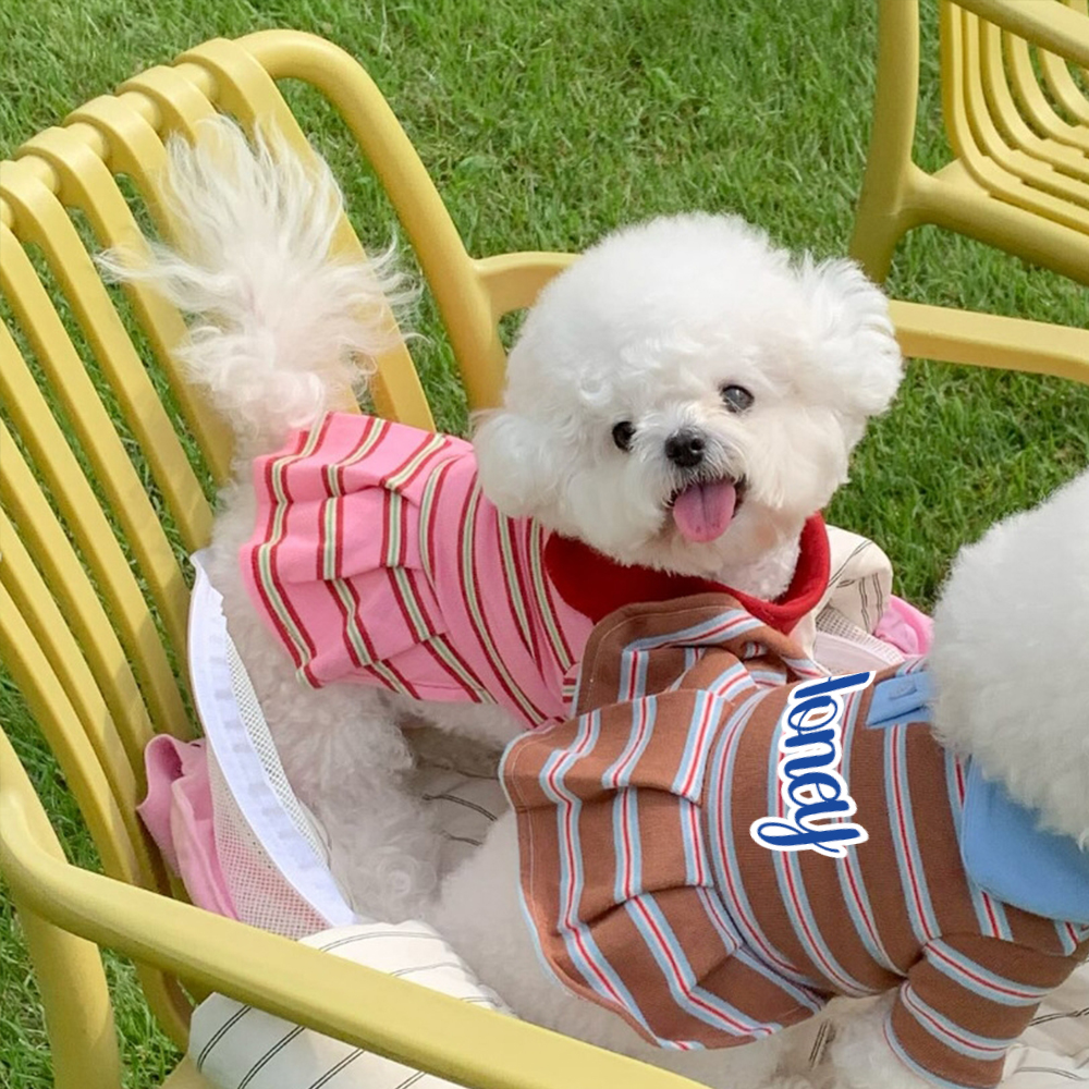 Personalized Name Summer Pet Striped Derss | inCloth48