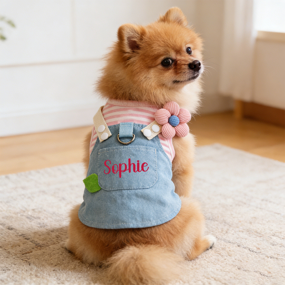 Personalized Name Pet Denim Overalls Dress | inCloth49
