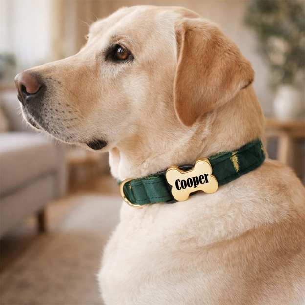 Personalized Engraved ID Pet Collar | inAccs40