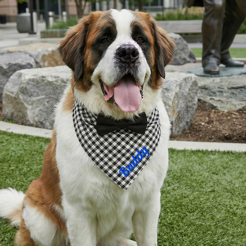 Personalized Embroidered Name Pet Bandana | inAccs41
