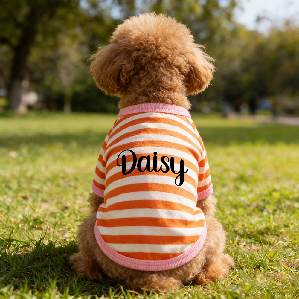Personalized Name Summer Striped Pet T-Shirt | inCloth76