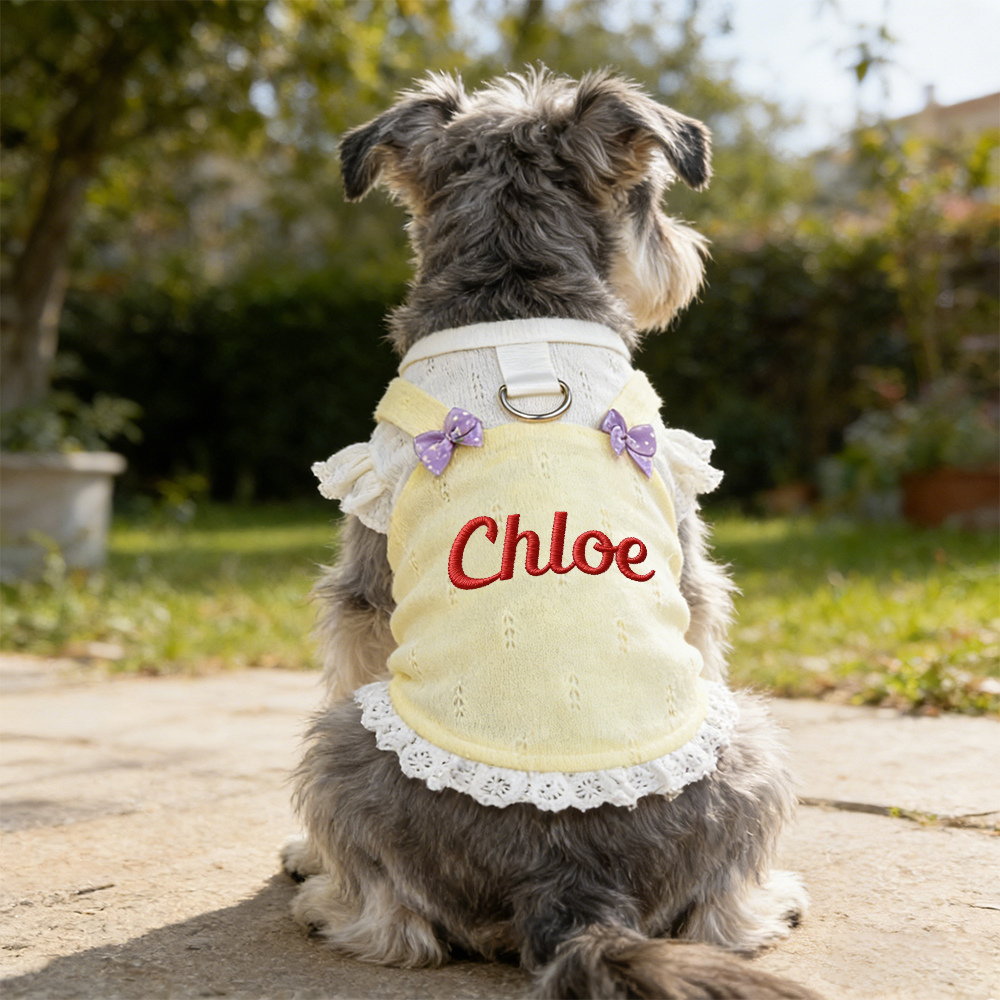Personalized Embroidered Name Bowknot Dess | inCloth85
