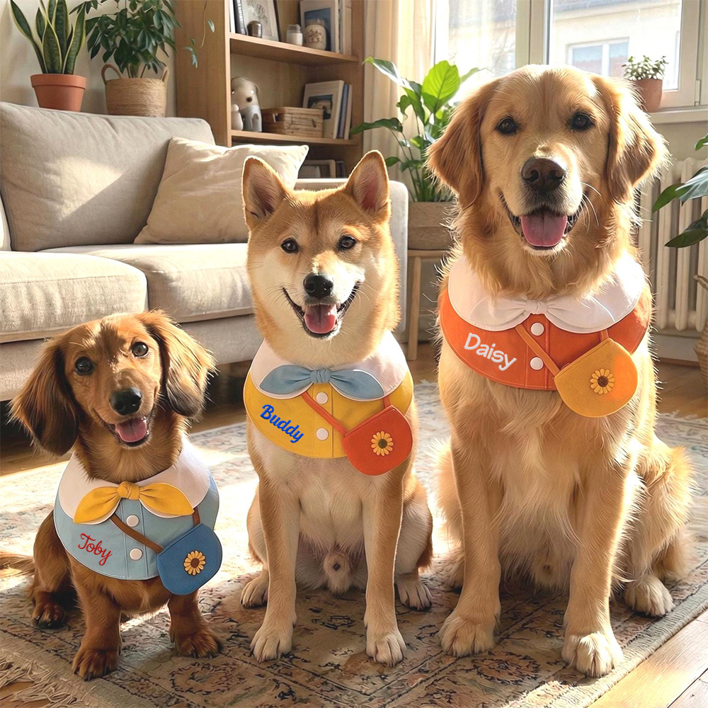 Personalized Embroidered Name Pet Collar | inAccs48