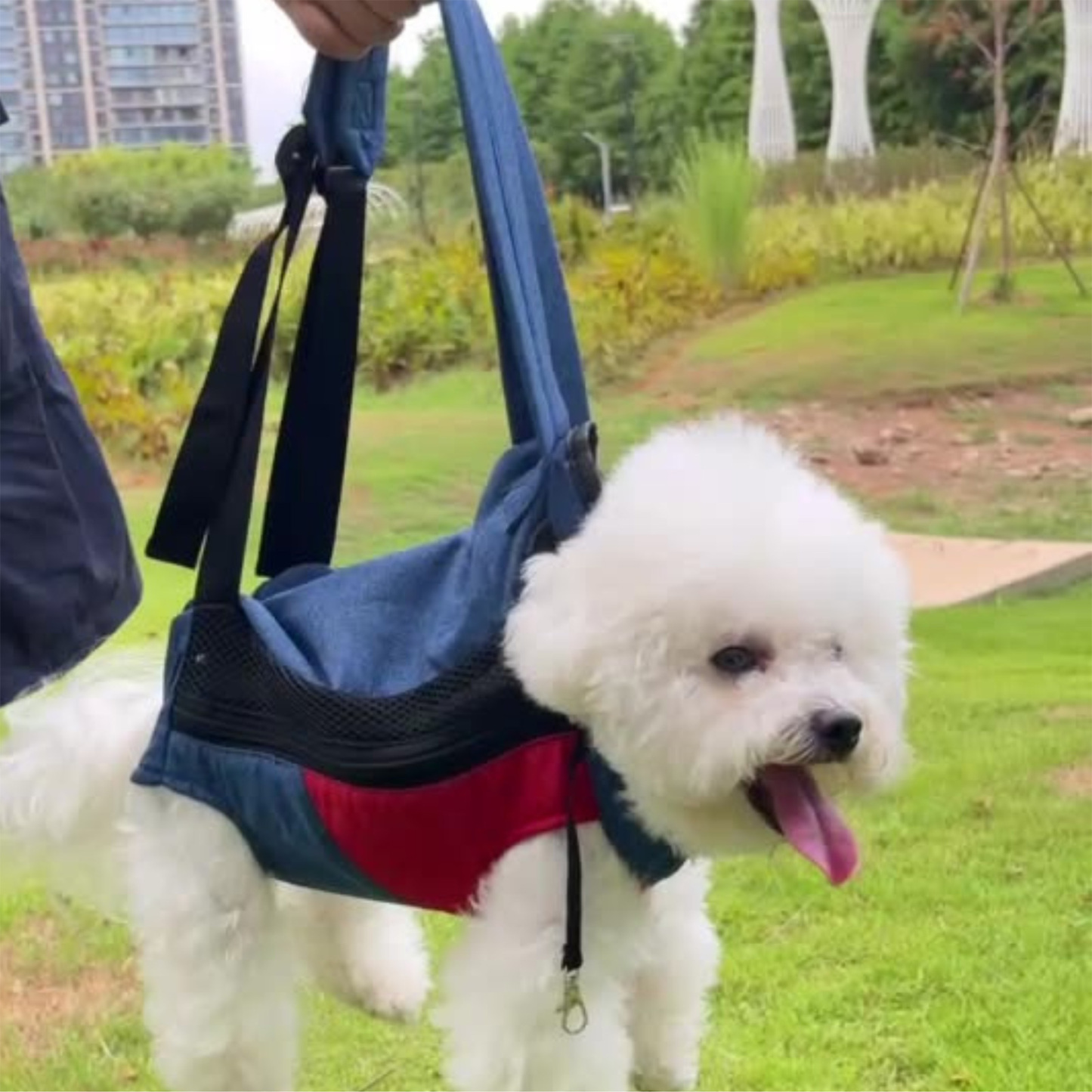 Personalized Leather Patch Name Pet Carrier Backpack | KKPet177