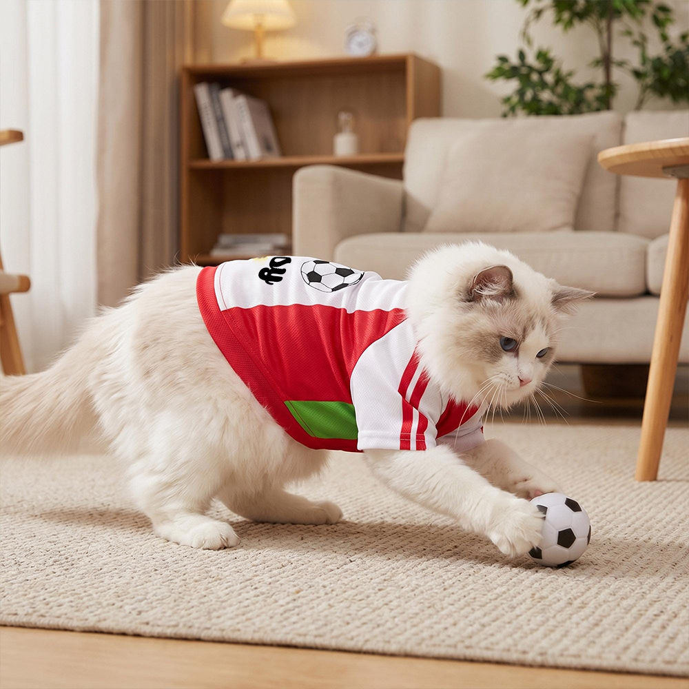 Personalized Pet Match Day Soccer Jersey | inCloth103