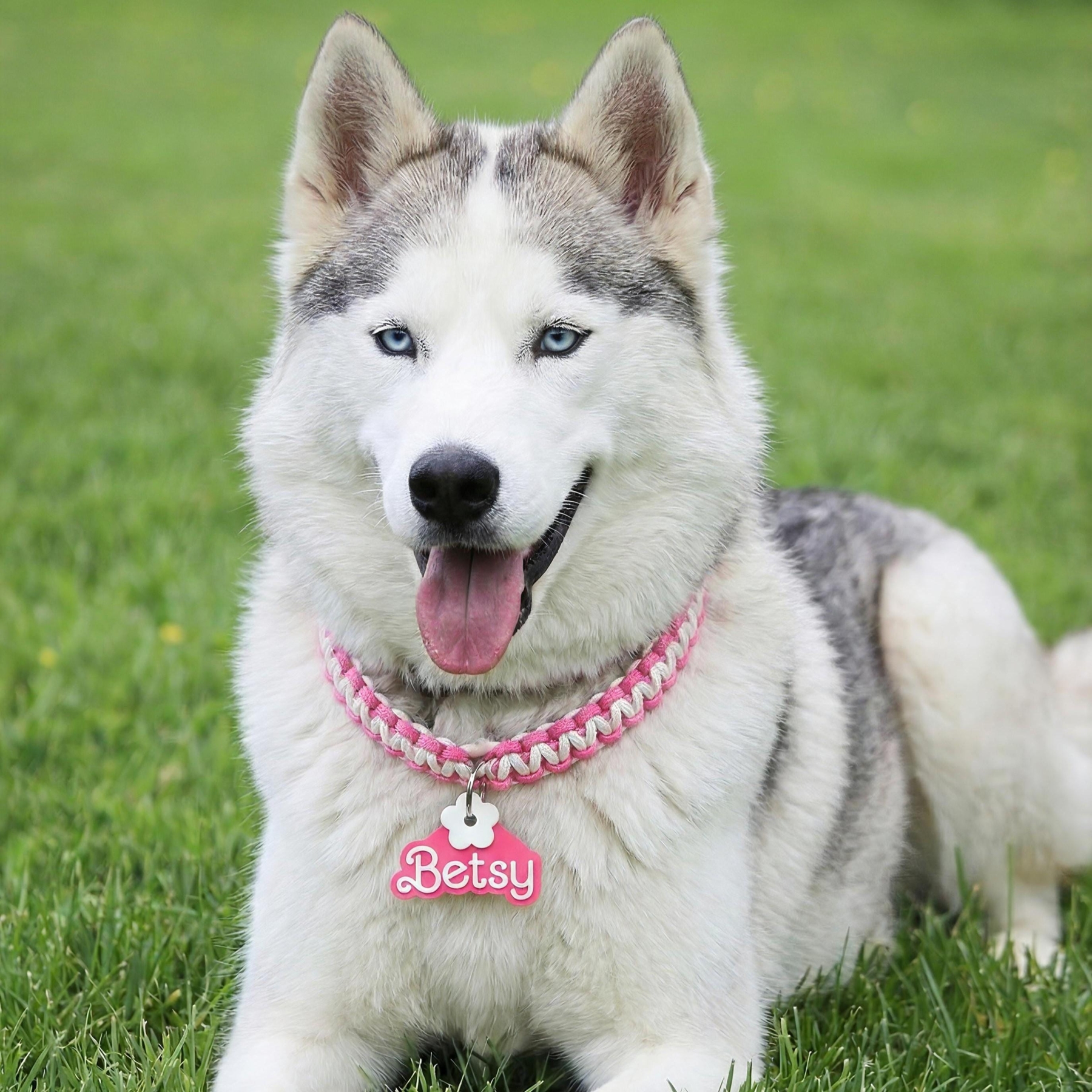 Personalized Name 3D Printed Pet ID Tag | KKPet458