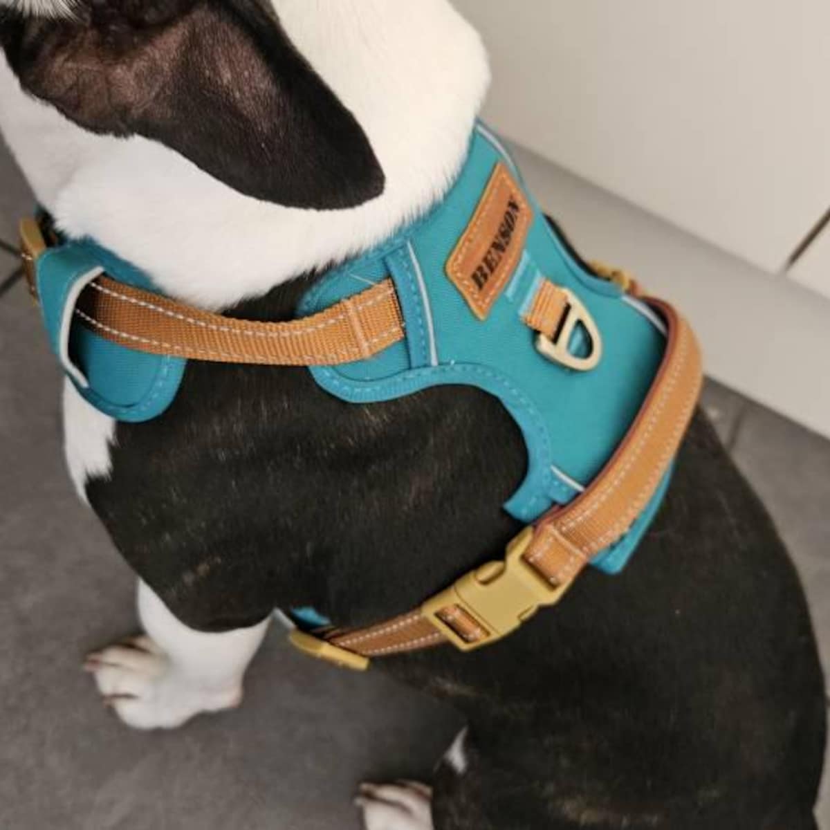 Personalized Pet Harness With Reflective Properties | inAccs58