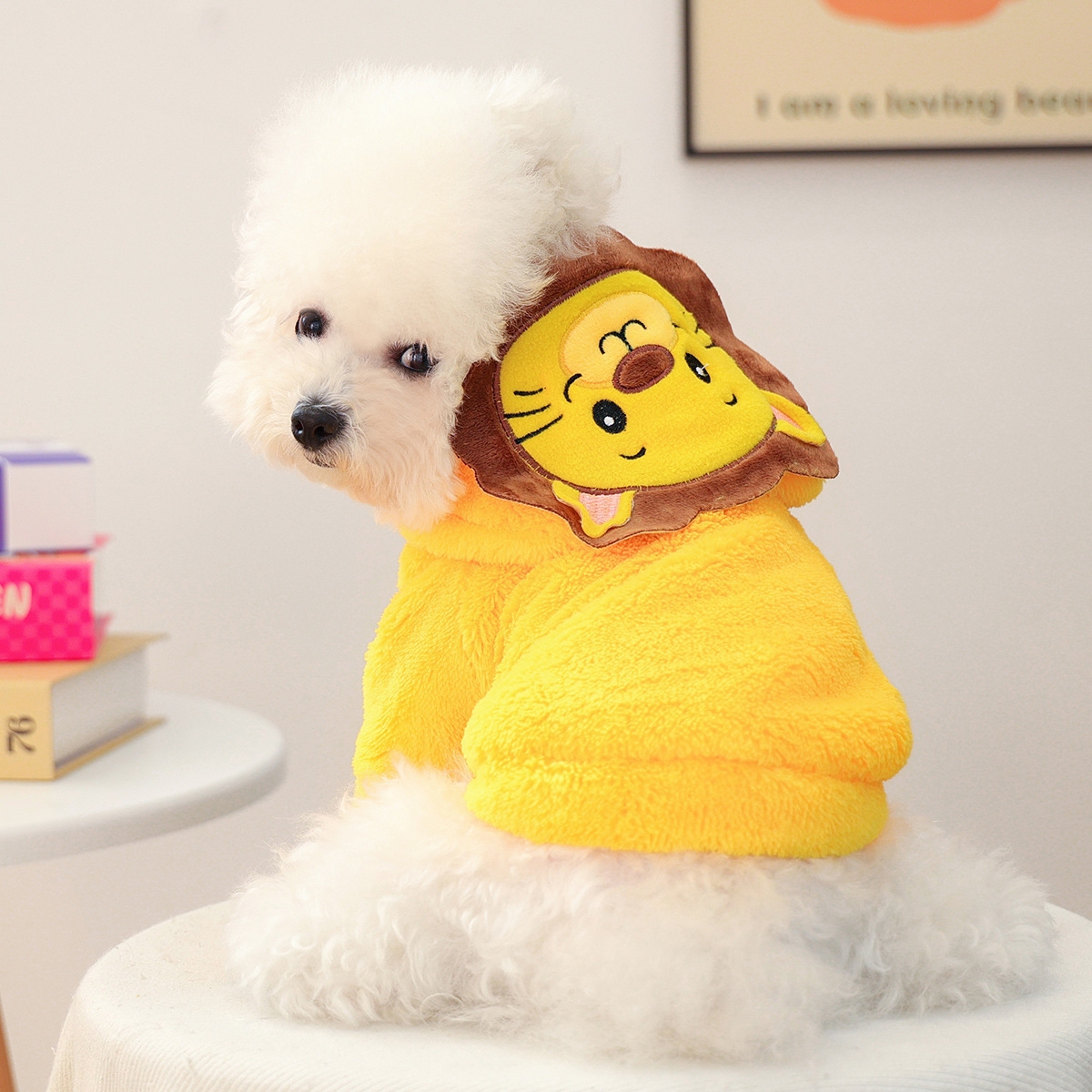 Personalized Leather Patch Name Pet Winter Hoodie | KKPet329