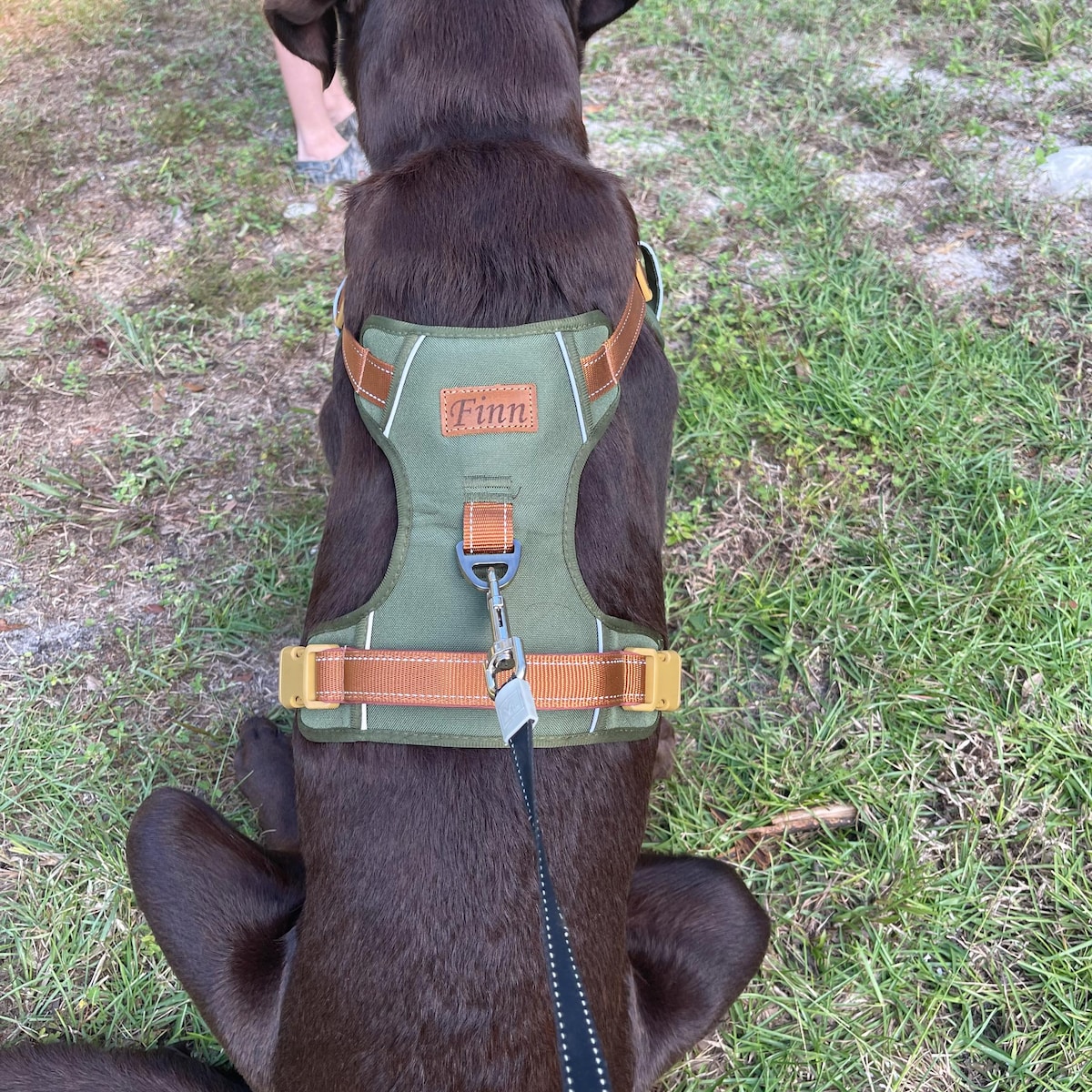 Personalized Pet Harness With Reflective Properties | inAccs58