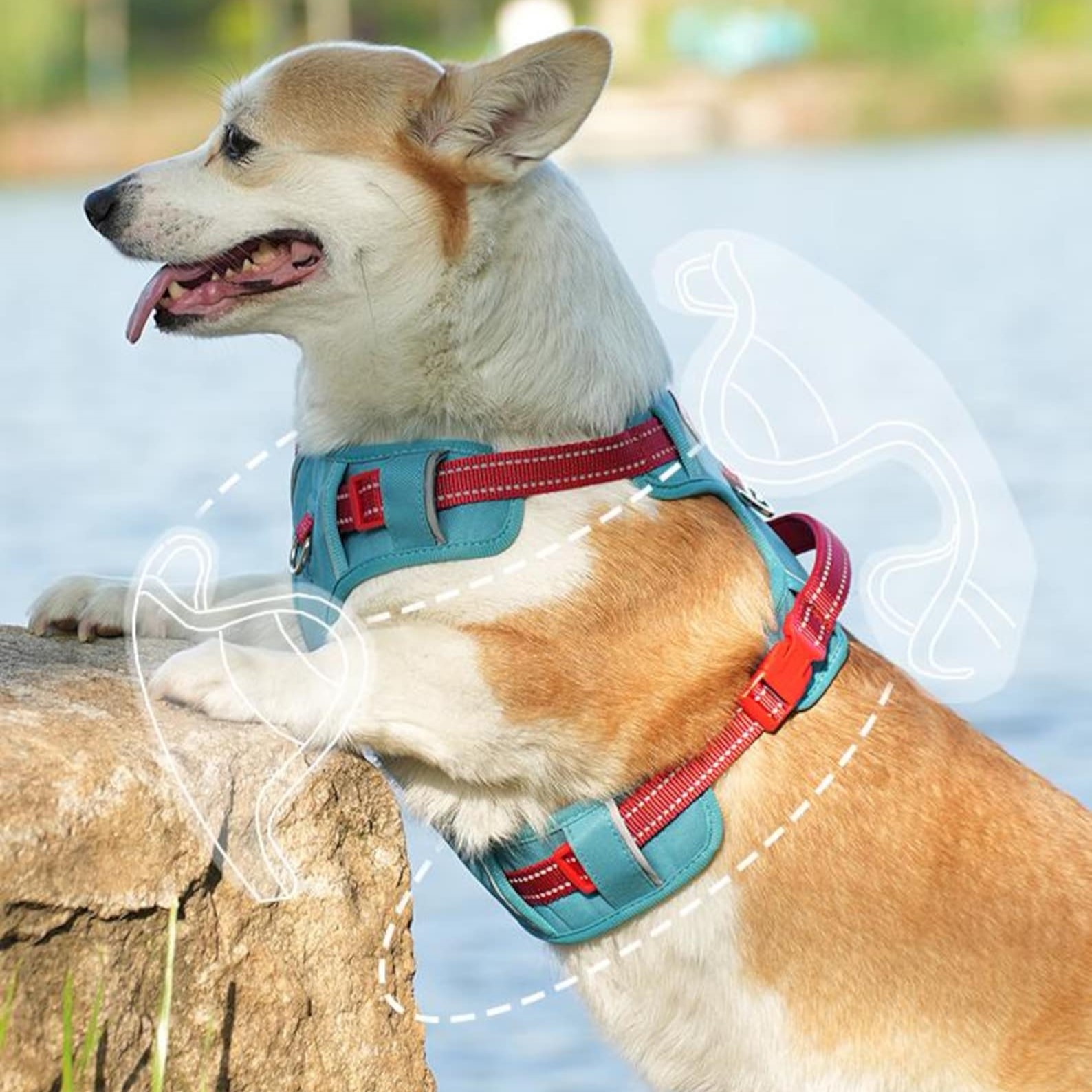 Personalized Pet Harness With Reflective Properties | inAccs58