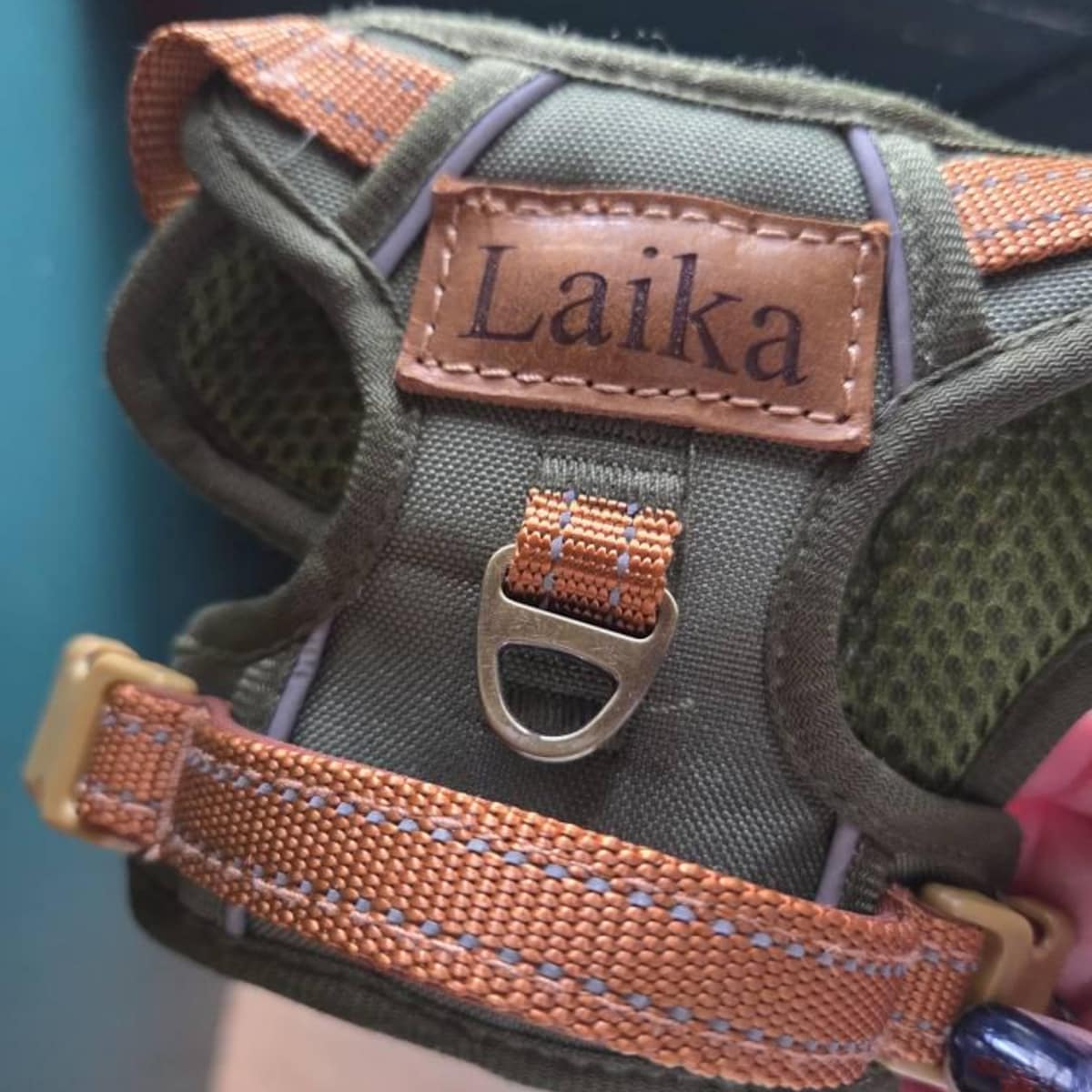 Personalized Pet Harness With Reflective Properties | inAccs58