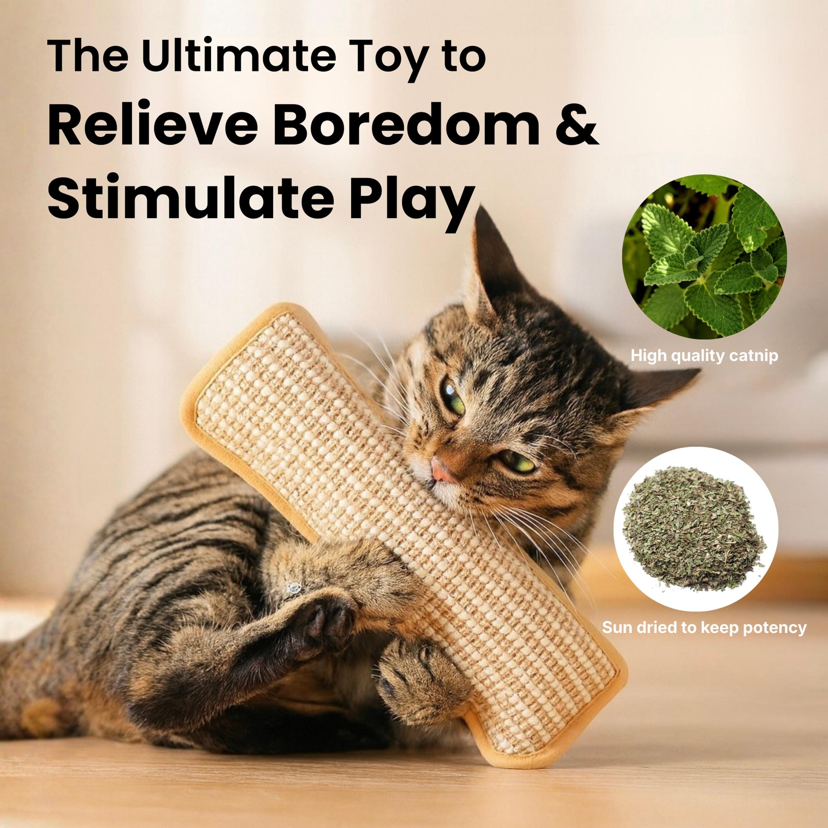 Natural Sisal Catnip Chew Toy for Indoor Cats | inToy01
