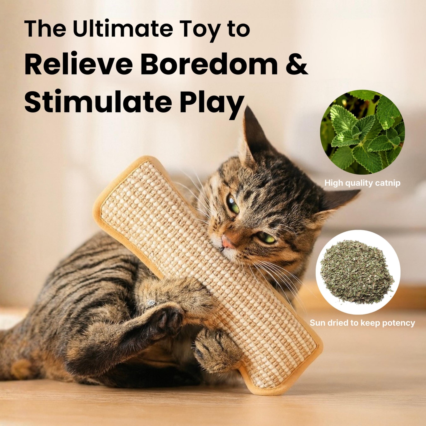 Natural Sisal Catnip Chew Toy for Indoor Cats | inToy01