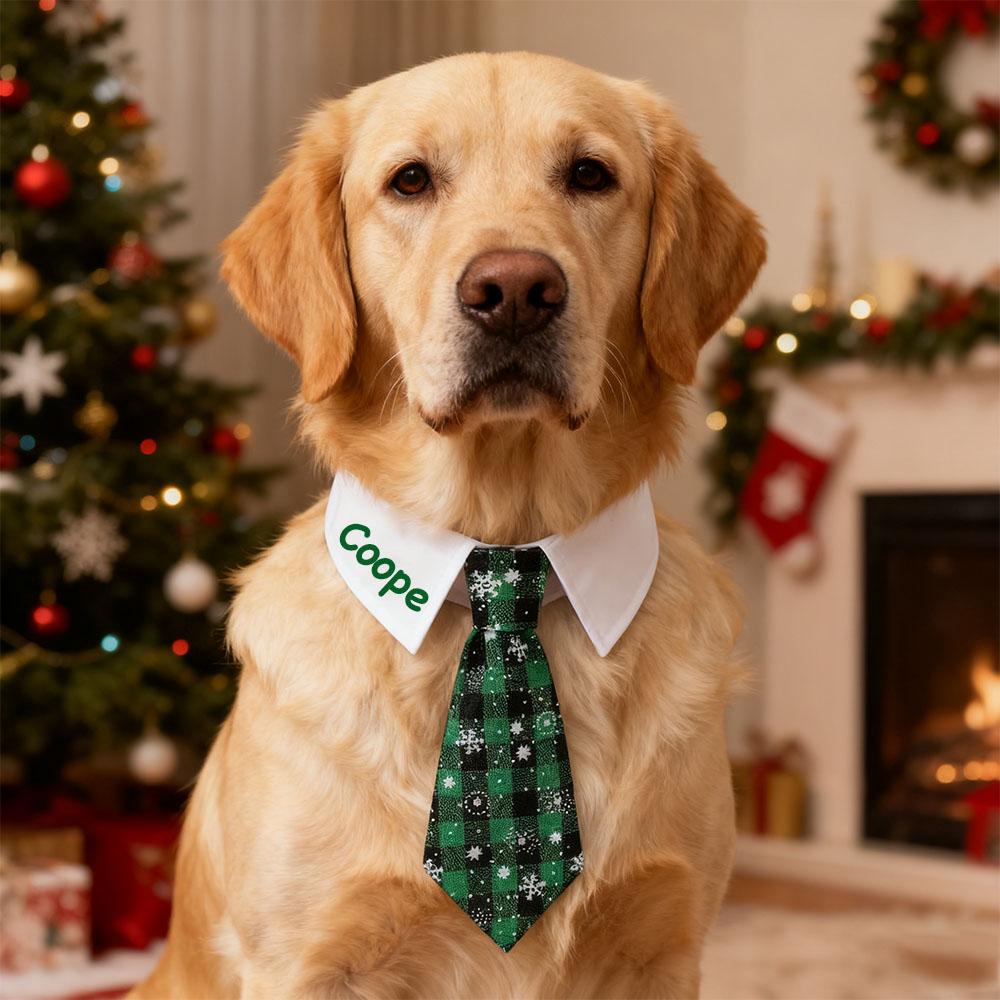Personalized Name Christmas Pet Tie | KKPet327