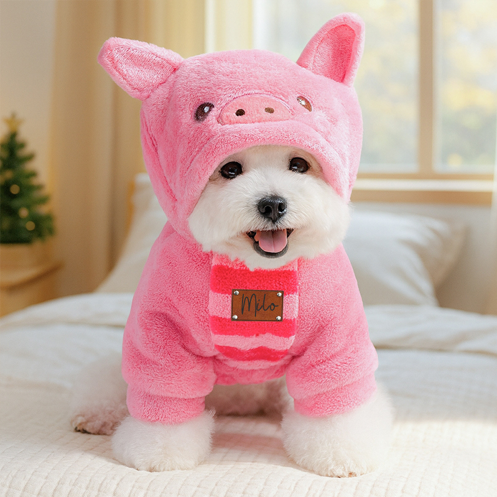 Personalized Leather Patch Name Pet Winter Hoodie | KKPet329