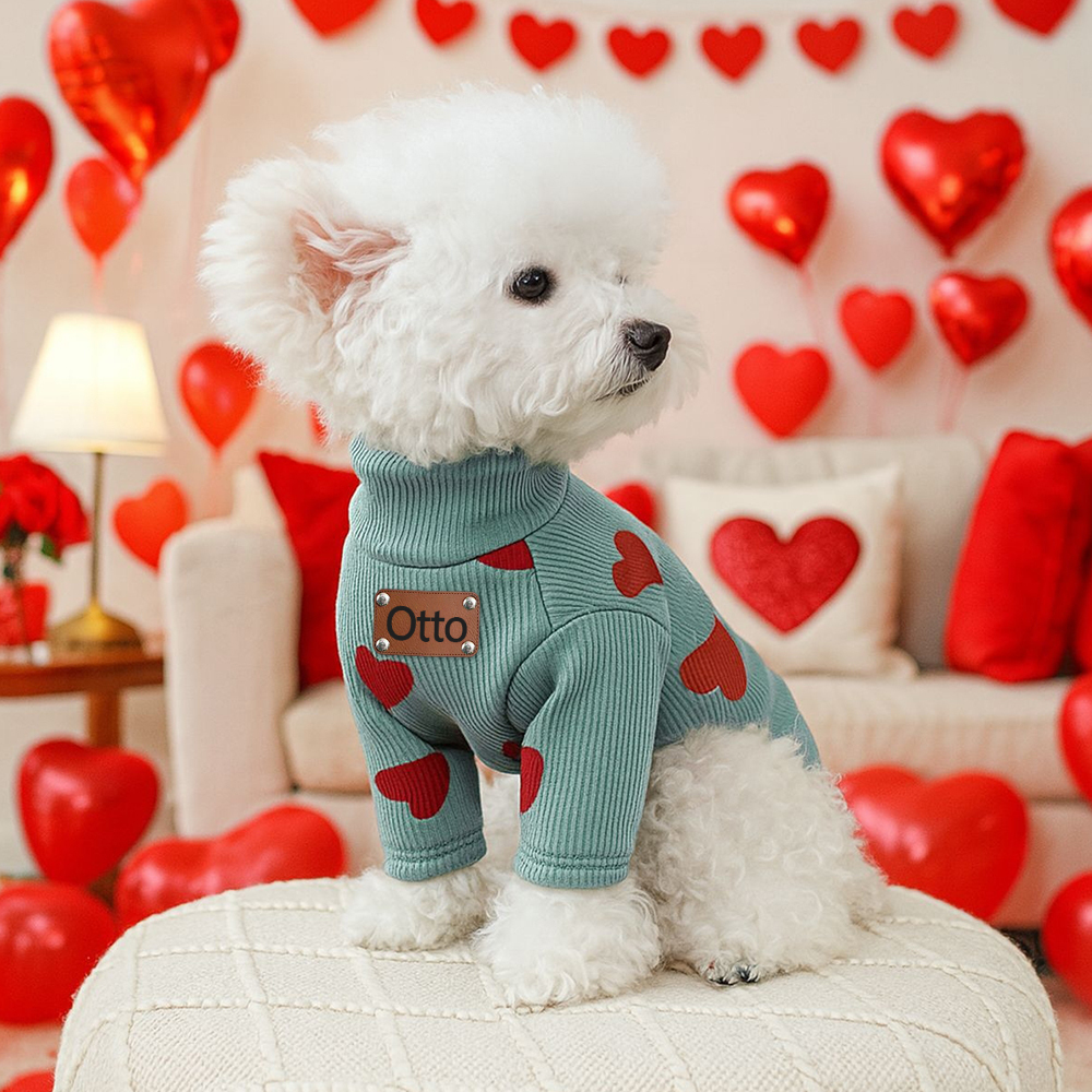 Personalized Leather Patch Name Valentine’s Day Pet Sweater | KKPet383