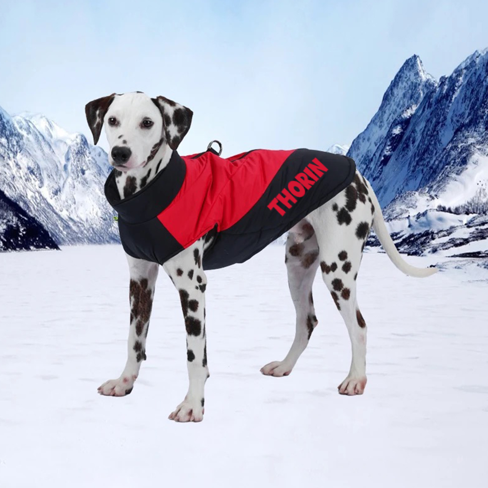 Personalized Pet Winter Warm Windproof Puffer Jacket | BKPet246