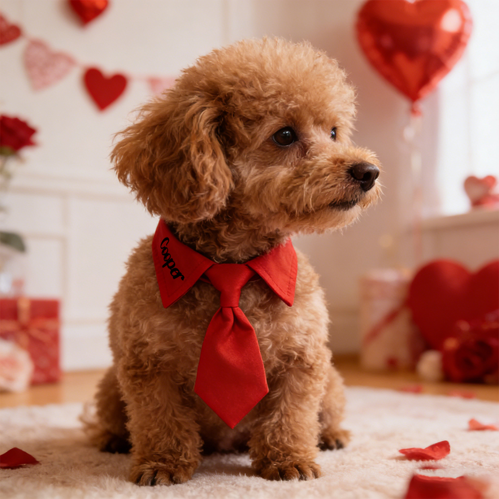 Personalized Pet Valentine's Day Tie Collar | inAccs01