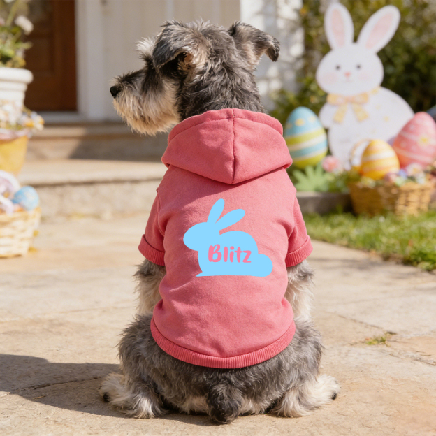 Personalized Name Easter Bunny Pet Hoodie | inCloth03