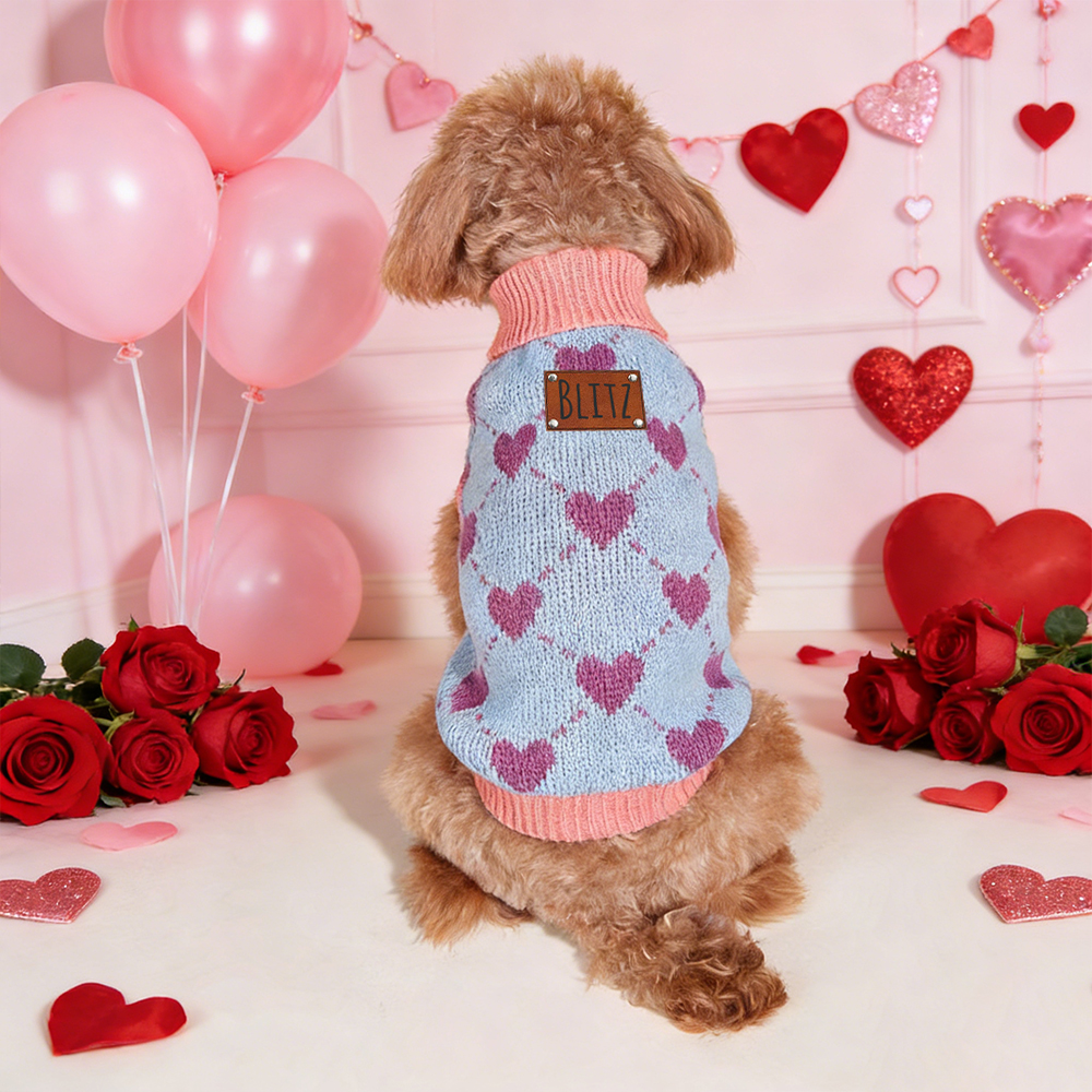 Personalized Heart Pattern Pet Sweater | inCloth05