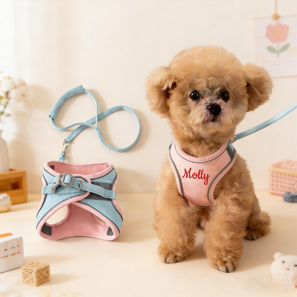 Personalized Embroidered Name Pet Harness with Leash | inAccs09