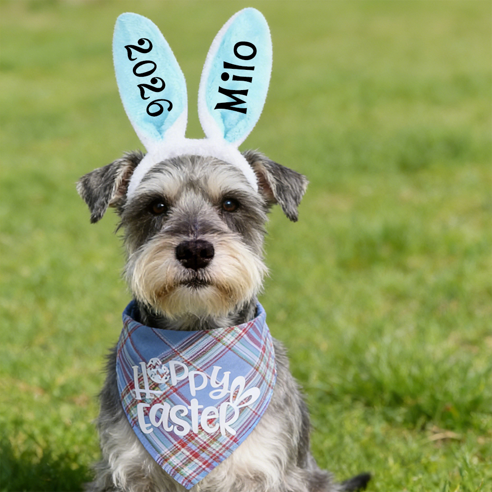 Personalized Easter Pet Bunny Headband and Bandana Set | inAccs11