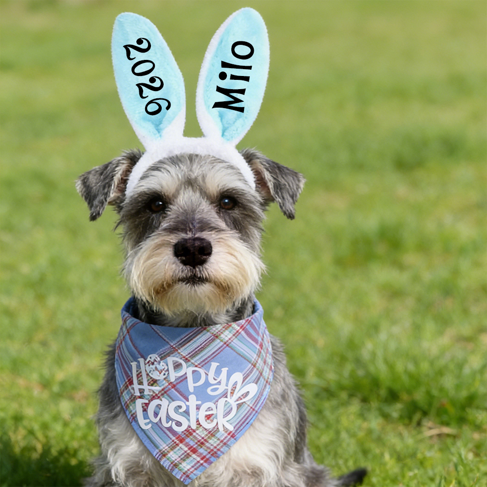 Personalized Easter Pet Bunny Headband and Bandana Set | inAccs11
