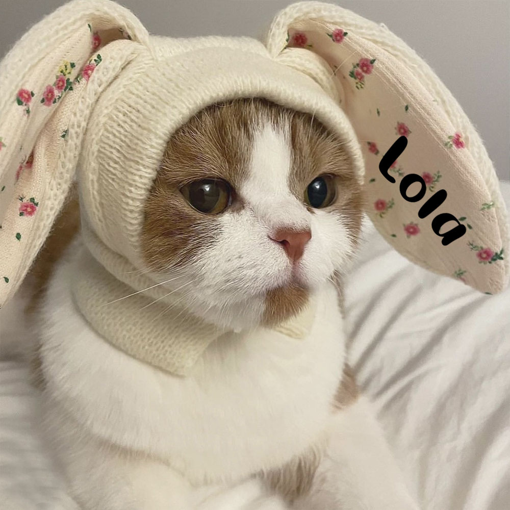 Personalized Easter Pet Knitted Bunny Ear Hat | inAccs14