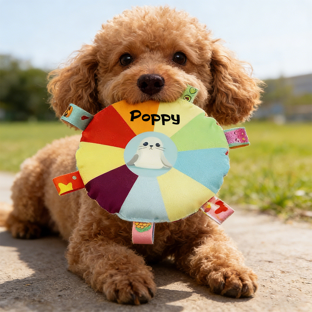 Personalized Pet Colorful Plush Chew Toy | inToy02