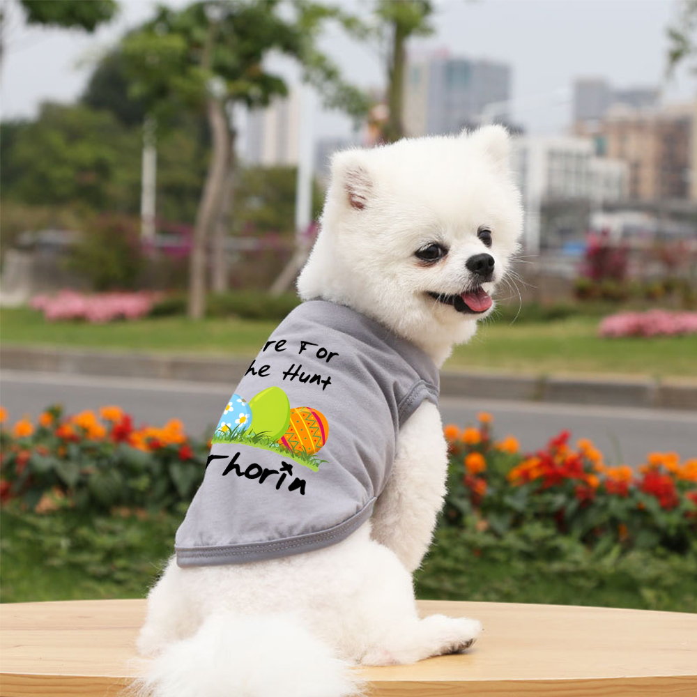 Personalized Easter egg hunt Pet Shirt | inCloth13