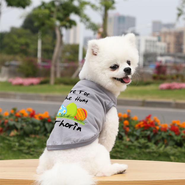 Personalized Easter egg hunt Pet Shirt | inCloth13