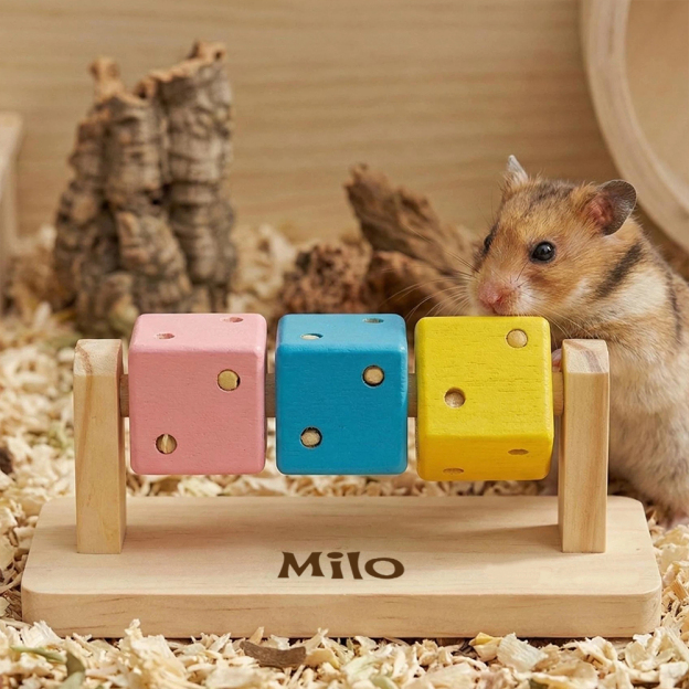 Personalized Hamster Wooden Puzzle Toy | inToy04