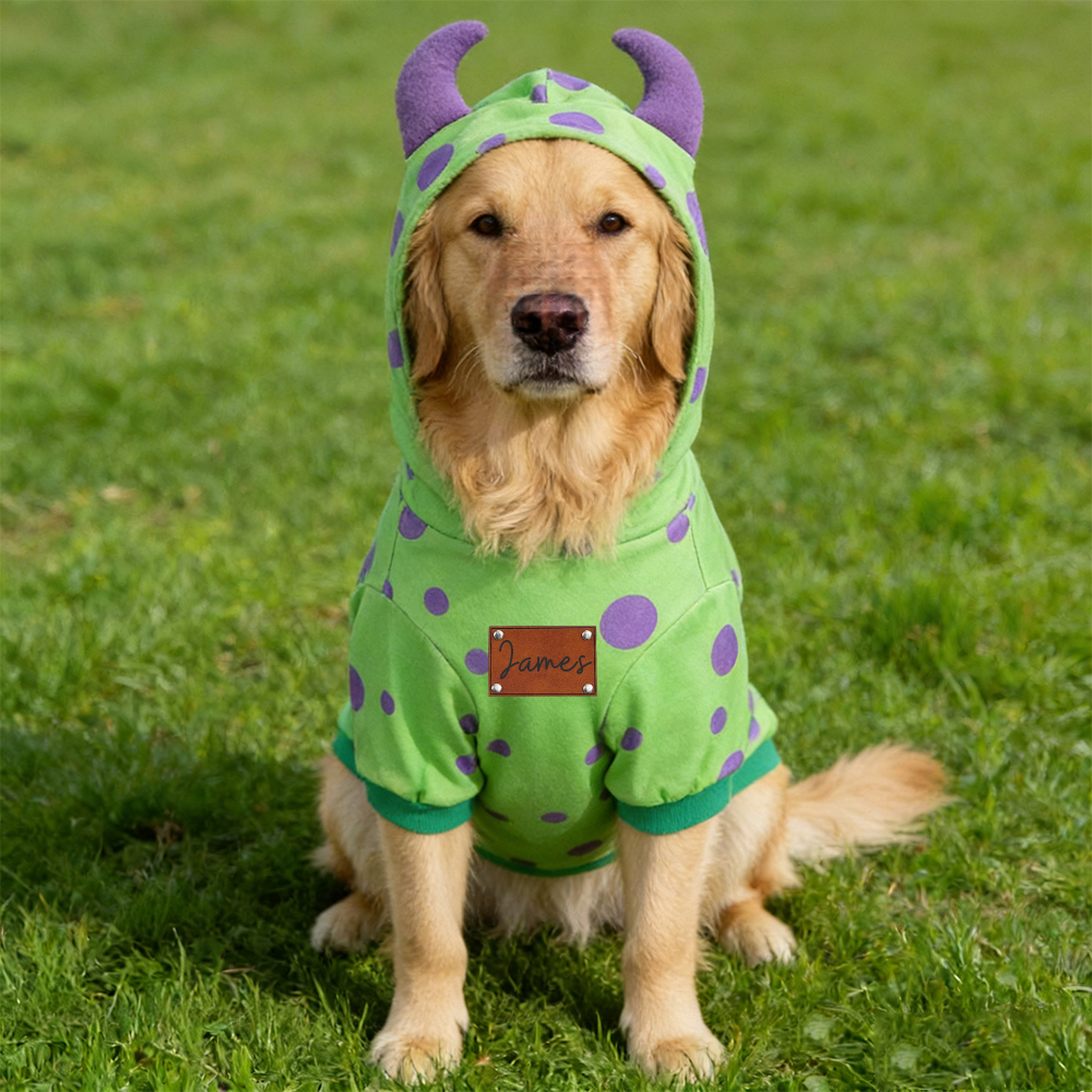 Personalized Leather Patch Name Pet Hoodie | inCloth15