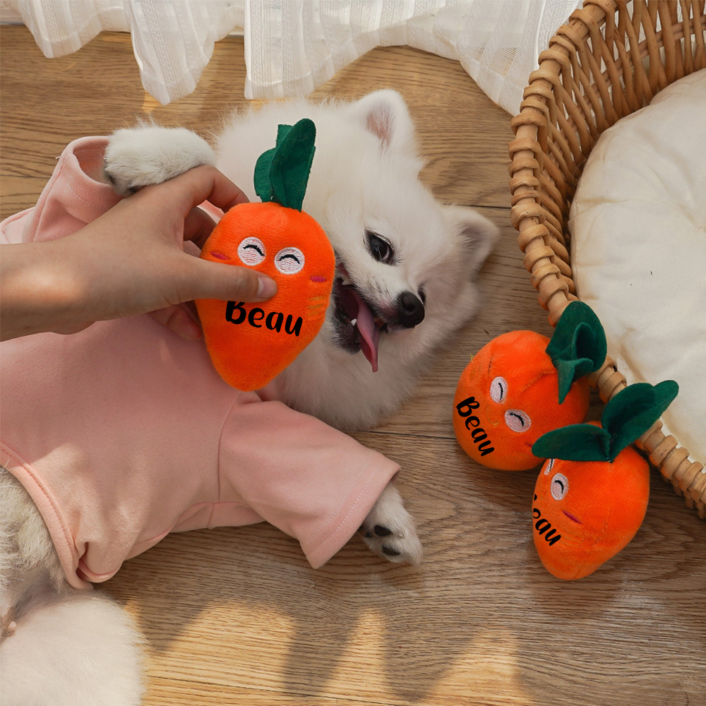 Personalized Pet Squeaky Carrot Plush Toy  | inToy06