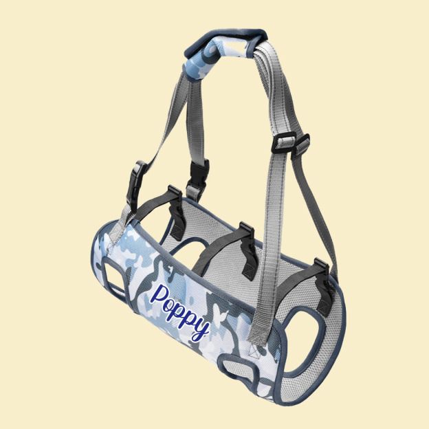 Personalized Name Dog Walking Aid Harness | inAccs24