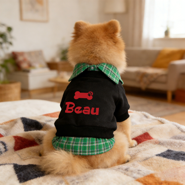 Personalized Name Plaid Pet Sweatshirt | inCloth30