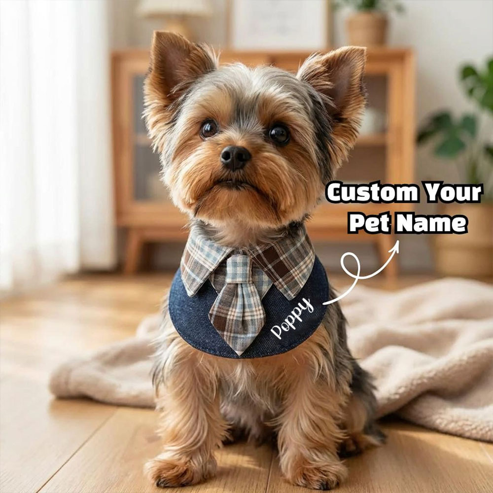 Personalized Plaid Pet Bandana Collar | inAccs26