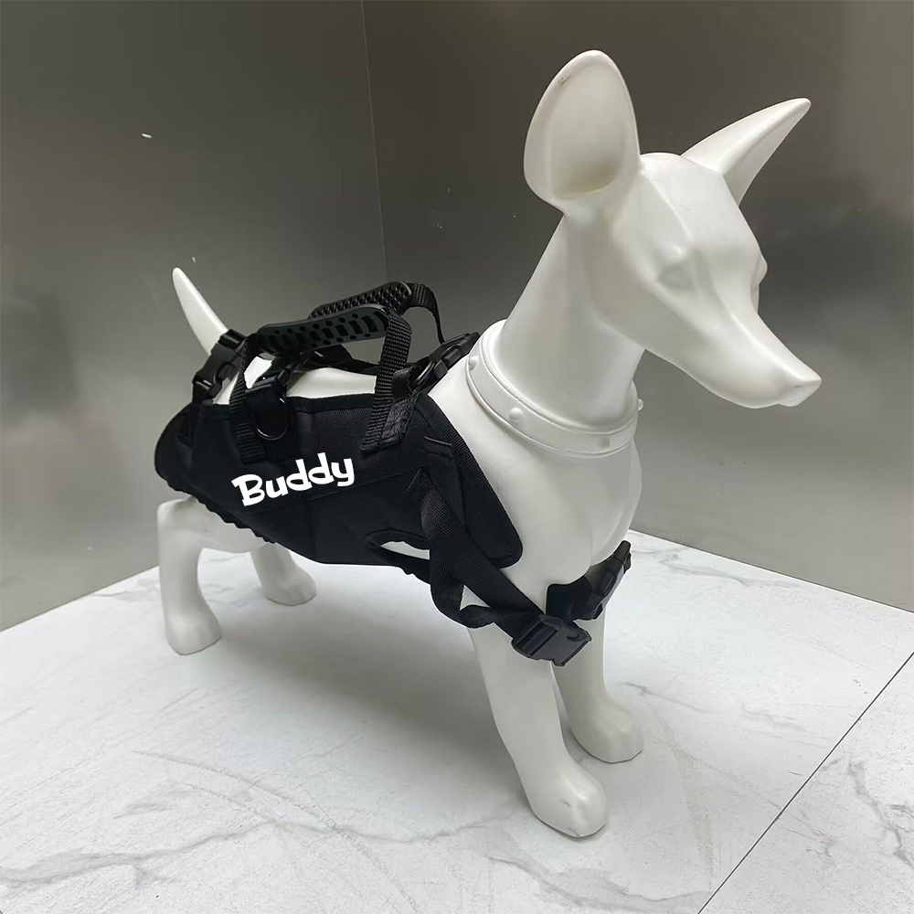 Personalized Name Outdoor Portable Breathable Pet Backpack | inAccs27