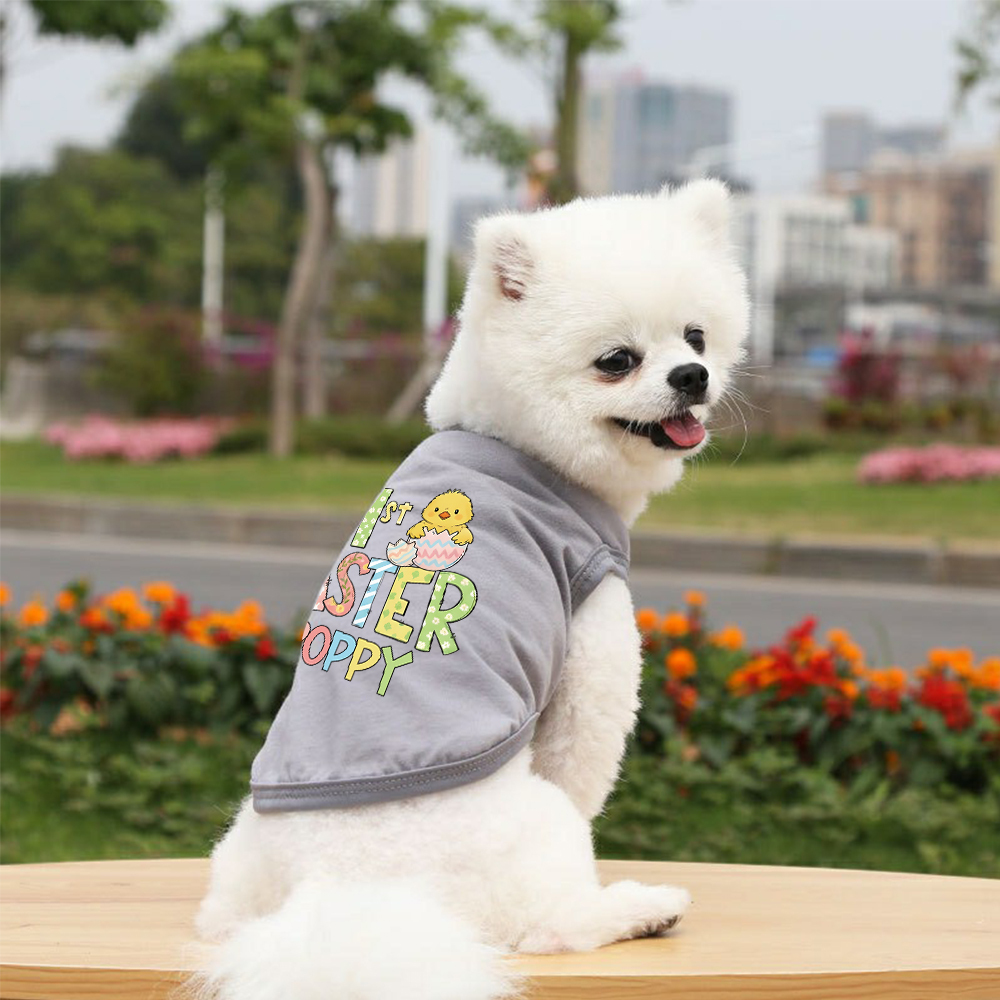 Personalized Pet's First Easter Shirt | inCloth35